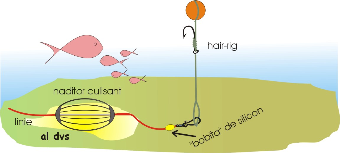 Pescuit :) - untitledbb.png